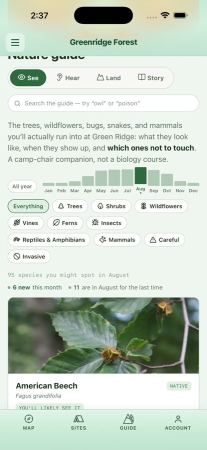 The nature guide on a phone: See, Hear, Land and Story tabs, a month histogram with August raised, category pills from trees to reptiles, a line reading 95 species you might spot in August, and an American Beech card.
