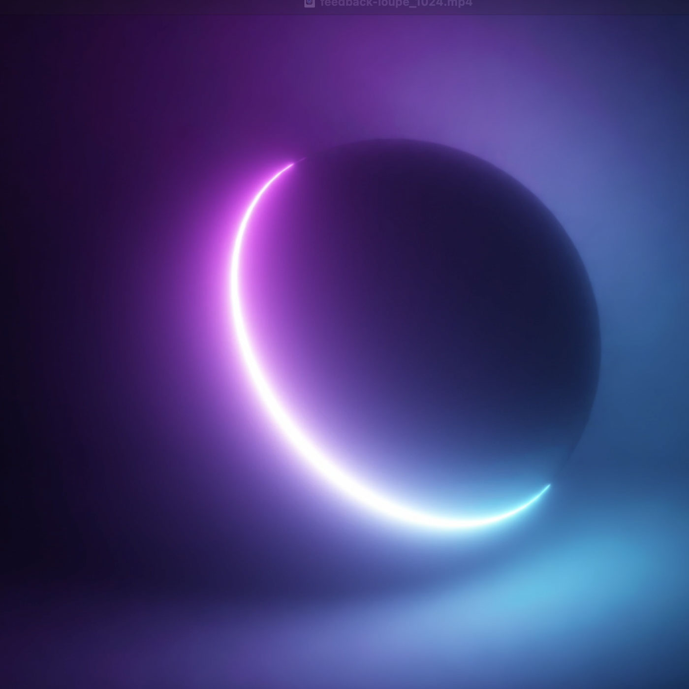 Feedback Loupe